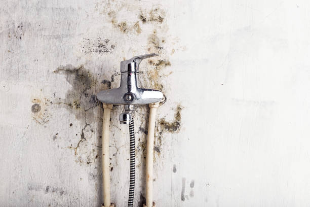Best Water Damage Restoration  in Ripon, CA